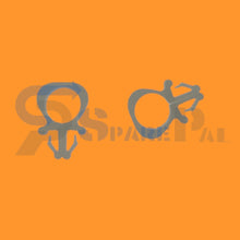 将图片加载到图库查看器，SparePal  Fastener &amp; Clip SPL-10884